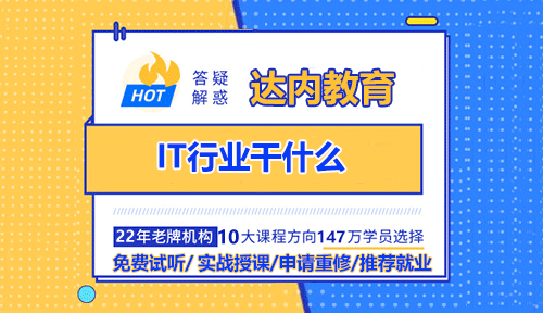 IT行業(yè)干什么？