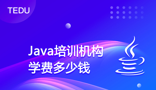 成人編程班大概多少錢？